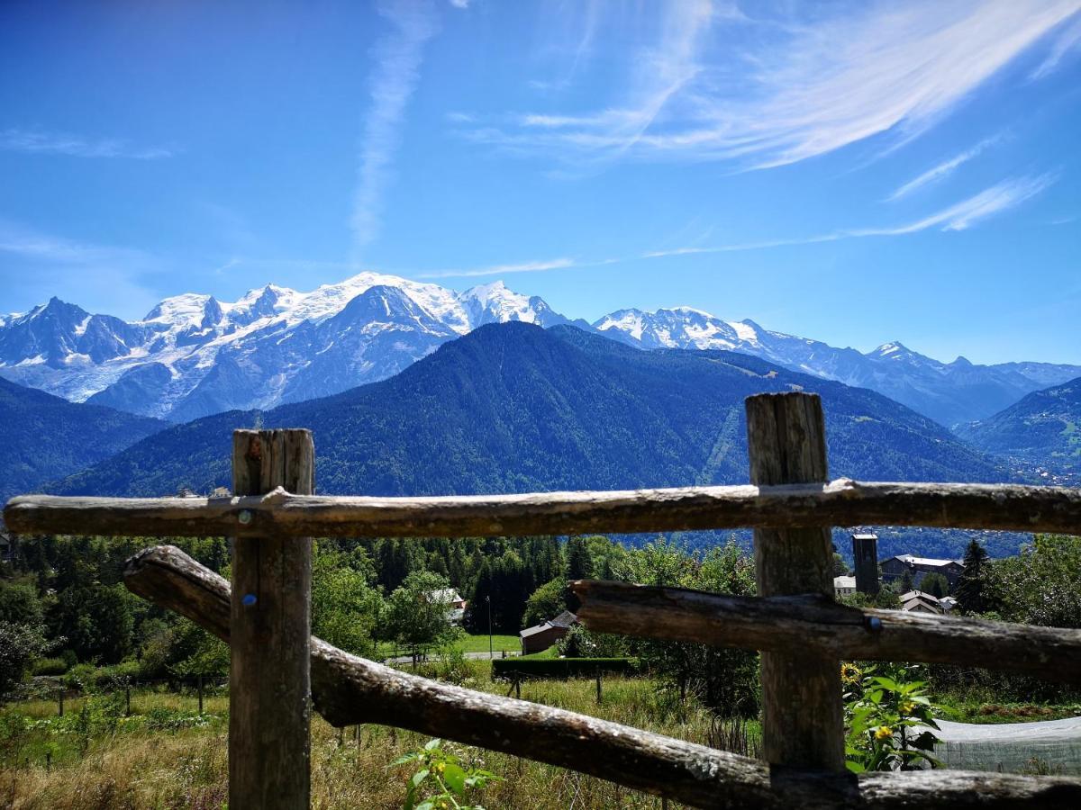 Duo Des Alpages Vue Exceptionnelle Sur Le Mont Blc Apartment Сен-Жерве-ле-Бен Екстериор снимка