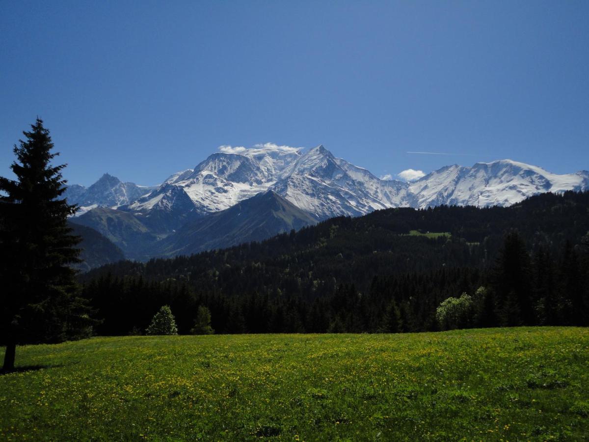 Duo Des Alpages Vue Exceptionnelle Sur Le Mont Blc Apartment Сен-Жерве-ле-Бен Екстериор снимка